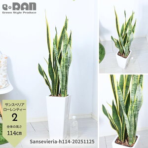 _N[|&|Cg^yIׂ錻izTXxA [eB[ 100`120cm 픫 7TCY ϗtA  XNGA cc`gZ C򉻋@\̍ V{c[ JX