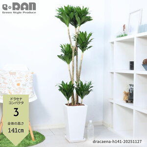 yIׂ錻izϗtA ^hZi RpN^ 픫 9TCY 125`160cm XNGA p Eh ۔ Ă₷ hZi [lbL[ ␫hZi fVX  x