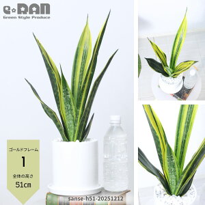 �_�|�C���g5�{�^�y�I�ׂ錻�i�����z�����A�� �T���X�x���A �S�[���h�t���[�� ������30�`50cm ���픫 �� �I �l�C �󏭎� �ϗt�A�� �T���Z�x���A �g���m�I ������ �������� �Ղ̔� �}�C�i�X�C�I