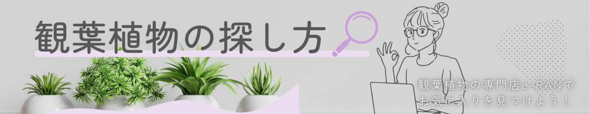 観葉植物の探し方