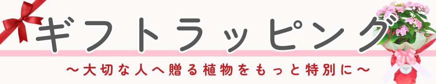 ギフトラッピング