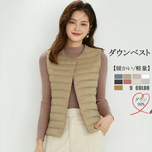  _ExXg fB[X xXg  ȃxXg fB[X fB[X_ExXg xXgR[g Ci[_ExXg g