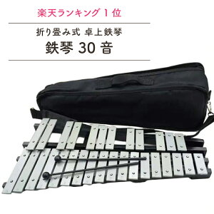 _ yV1ʁI ^ S 30    ܂ y }bg2{ [P[Xt ObPVs[ ty KɃ}bg ΂ obO Ŋy  Ŋy wZ  K q 