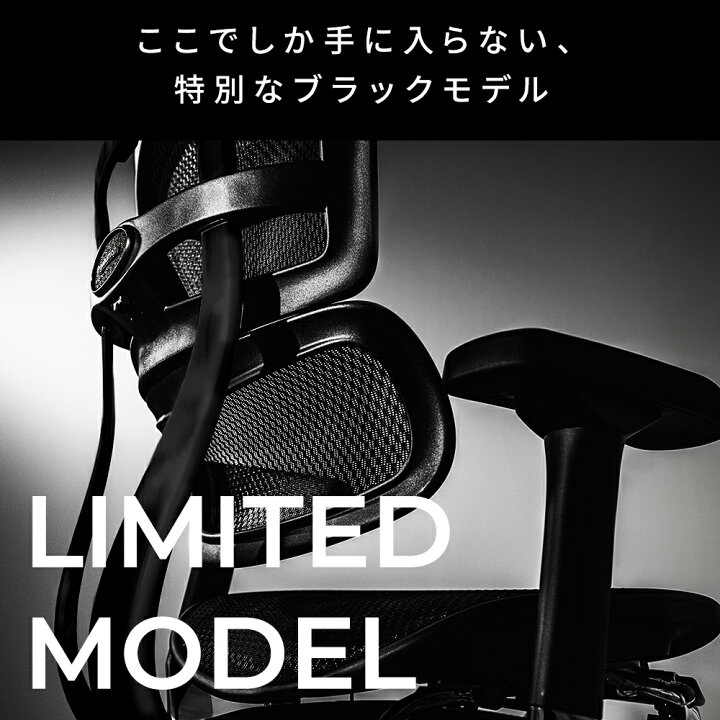 楽天市場】WORKAHOLICオリジナルモデル エルゴヒューマン プロ2 