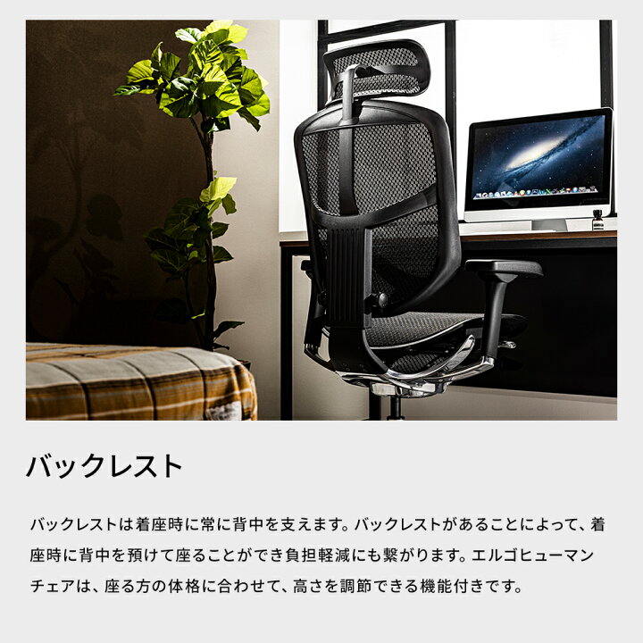 楽天市場】【 国内唯一メーカー完成品 / 公式店 / 当日出荷 】 エルゴ 