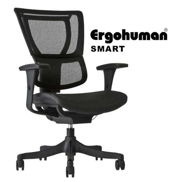 楽天市場】【Ergohuman 公式店】お客様組立(肘掛付)【送料無料】高機能  