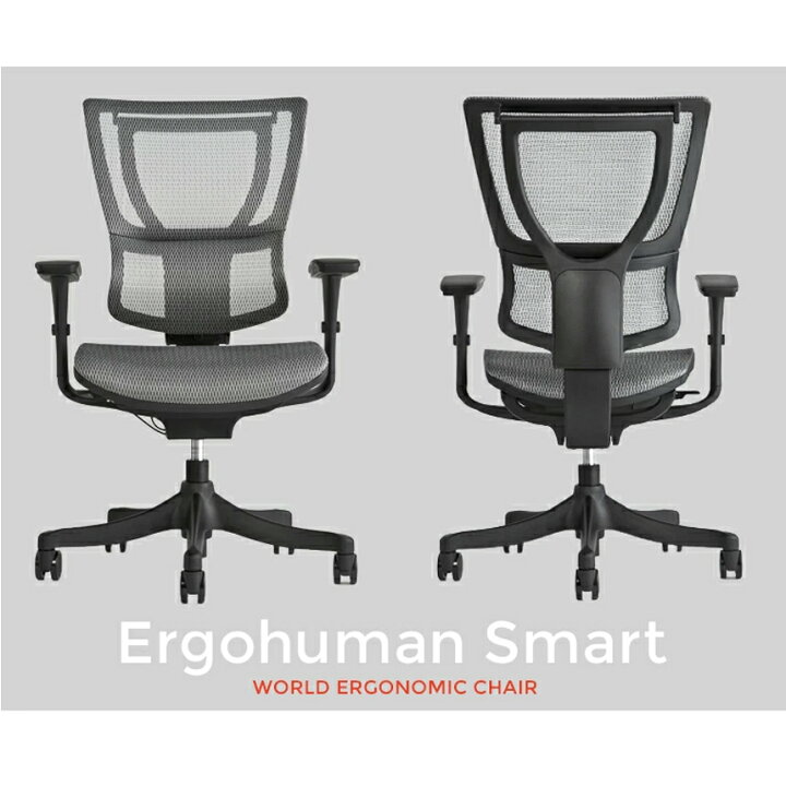 楽天市場】【Ergohuman 公式店】お客様組立(肘掛付)【送料無料】高機能 