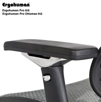 楽天市場】エルゴヒューマン プロ モールドクッションの通販