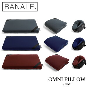 BANALE OMNIPILLOW Ijs[ 3WAY lbNs[ s[ NbV oi[ K 莿 Ƃ ItBX C^A ~m s COs gx Lv AEghA jZbNX 