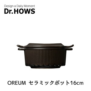 Dr.HOWS ؍y 16cm KXΐp OREUM dqWΉ I[uΉ H@Ή I y ΑΉ xy^Cg IHy  ~j  lp lp y炲  1l ؍ 