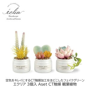 tFCNO[ 3 Aset GNA CTG} ϗtA ݂Ċy L A[eBtBVO[  Mtg v[g