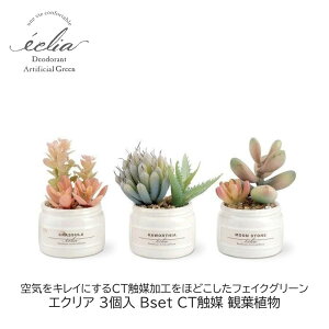 tFCNO[ 3 Bset GNA CTG} ϗtA ݂Ċy L A[eBtBVO[  Mtg v[g