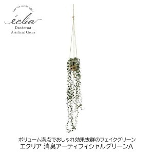 tFCNO[ GNA LA[eBtBVO[A lHϗtA L CTG} A[eBtBVO[  Mtg v[g