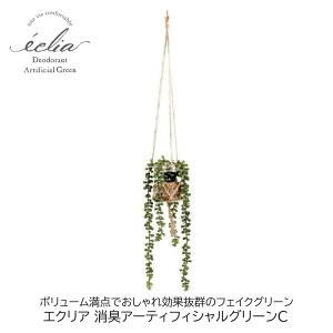 tFCNO[ GNA LA[eBtBVO[C lHϗtA L CTG} A[eBtBVO[  Mtg v[g