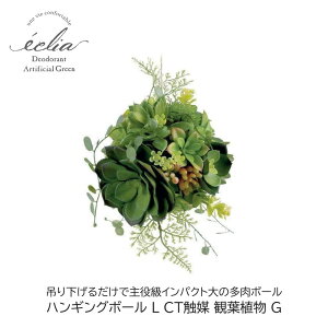 tFCNO[ nMO{[ L GNA CTG} ϗtAG ݂Ċy L A[eBtBVO[  Mtg v[g