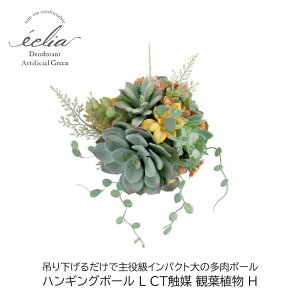 tFCNO[ nMO{[ L GNA CTG} ϗtAH ݂Ċy L A[eBtBVO[  Mtg v[g