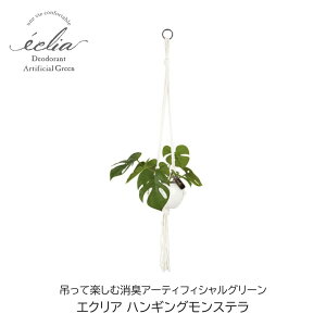 tFCNO[ Xe GNA nMOXe ݂Ċy L A[eBtBVO[  Mtg v[g