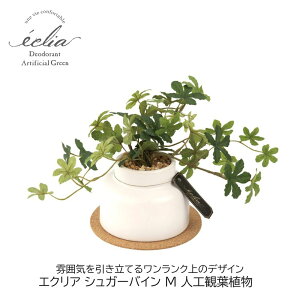 tFCNO[ GNA XeM C LC u lHϗtA CTG} sv  Mtg v[g