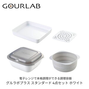 O{vX W I[u ϔM ۑe 4_Zbg X^_[h zCg  䥂ł ς J}eA Z ȒP {iI I[uΉ H@Ή GOURLAB { Lb
