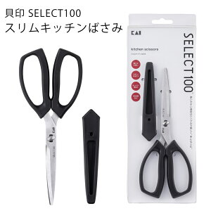 yԌ|Cg5{zL SELECT100 XLb`΂ nT~ Lb`ObY XeX Jo[t @\I Lb`Obc ֗   炦 ؂ꖡ s Z ֗O