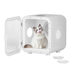 VERILADY ybghC[nEX ybg@ ybghC[ ybghC[  L@ ybghC[{bNX É  x  K  ߔMی É PSE擾 