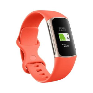 Suica�Ή�Fitbit Charge 6 �g���b�J�[ �R�[�����^�V�����p�� �S�[���h �X�}�[�g�E�H�b�`/�h��/iPhone�Ή�/�A���h���C�h�Ή�/�ő�7���Ԃ̃o�b�e���[/GPS����/�S���v/�����X�R�A [���{]