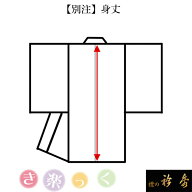 衿秀 公式 サイズ別注 き楽っく 身丈 えりひで 襟の衿秀 寸法 eh tb