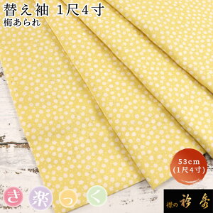 �܏G ���� ���y���� �ւ��� ������� �֑� �������� �~����� 1��4�� �􂦂���{�� �݂̋܏G ���Ȃ� �����̂��Ȃ�