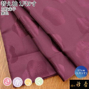 �܏G ���� ���y���� �ւ��� ������� �֑� �������� �ܖ���q �n�� �~ �� �p�[�v�� 1��5�� �􂦂���{�� �݂̋܏G ���Ȃ� �����̂��Ȃ�