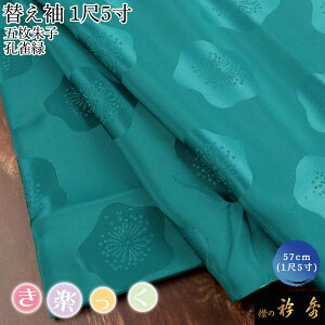 �܏G ���� ���y���� �ւ��� ������� �֑� �������� �ܖ���q �n�� �~ �E���� �^�[�R�C�Y 1��5�� �􂦂���{�� �݂̋܏G ���Ȃ� �����̂��Ȃ�