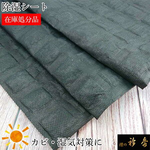 ܏G  s݌ɏtV[g 1000~  L ~zc BIGTCY ܏G Ђ ݂̋܏G eh