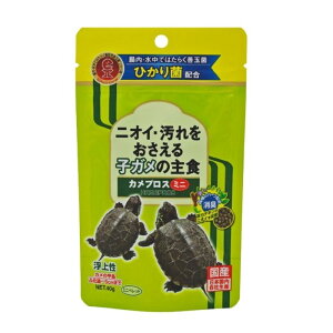 L[ HikariiЂjJvX ~j 40g Ώ̐ T qTiӉ`b5cm܂ł̎qKpH) Y@yNbN|Xg(|Xg)Ήz