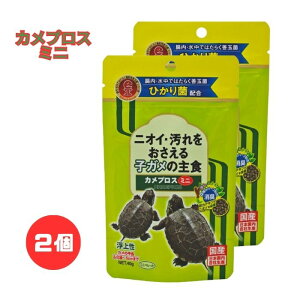 y2ZbgzL[ HikariiЂjJvX ~j 40g Ώ̐ T qTiӉ`b5cm܂ł̎qKpH) Y@yNbN|Xg(|Xg)Ήz