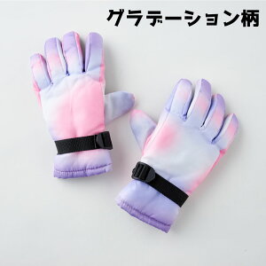 Xm[  XL[ qǂp 5΁`12 H V H ~  ΍ h ʊw ʉ ł XL[ Xm{[ j̎q ̎q 킢  v[g NX}X Mtg  