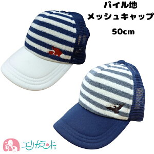 bVLbv pCn zCg lCr[ hJ |Cg 50cm t  H ~ I[V[Y q j̎q ̎q Vv ۈ牀  c w Aw v[g 蕨 v`M