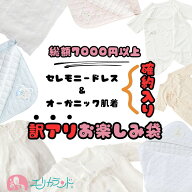 【訳アリ総額7000円以上】セレモニードレス＆オーガニック肌着入り お楽しみ袋 詰め合わせ 赤ちゃん 新生…