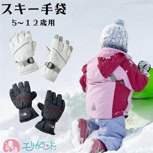 Xm[  XL[ qǂp 5΁`12  h V H ~  ΍ h ʊw ʉ ł XL[ Xm{[ j̎q ̎q 킢  v[g NX}X Mtg  