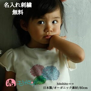 eB[Vc TVc  gbvX I[KjbNRbg ȑf z J AWTC  ̎q q Ԃ xr[   t  t ĕ 80cm {^t { i S 