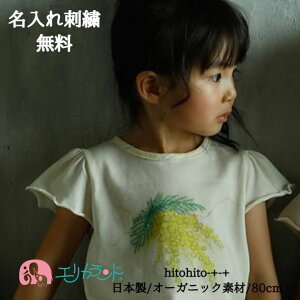 gbvX  TVc eB[Vc ĕ t ̎q  q xr[ Ԃ 80cm ~U ݂  t[  R {^jJ i`  CG[ A I[KjbNf {