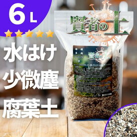 観葉植物 多肉植物 土 培養土 エケベリア サボテン コーデックス 塊根 アガベ パキプス ガガイモ 植え替え 賢者の土