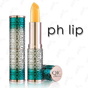 CS37#bv { xbv PH LIP g bvXeBbN ؍RX xωF ϕi bvOX CNAbv O̍r LIP TINT ێ