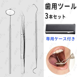 br59#304デンタルケア 3点セット 歯石取り器具 専用収納ケース 歯用ツール ステンレス製 歯石除去 口臭予防 ヤニ取り しこう取り 送料無料 プレゼント 虫歯予防