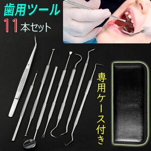 br90#歯石取り器具 11本セット 日本国内当日発送 歯垢 しこう取り デンタルツール ステンレス製 自宅用 スケーラー 口内ケア 歯石 歯 ヤニ取り オーラルケア 口臭予防 専用ケース付き 歯石削