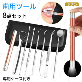 br34#8本デンタルケアセット ライト付き 歯石取り器具 ステンレス製 歯石取り器具人用 歯間 ヤニ 歯垢取り 口臭予防 プロ用 抗菌