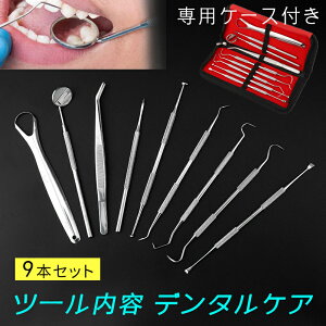 br36# 9{Zbg Ȍo|LbgpP[Xt  ̐|c[ ݂  Ύ uV ^OXN[p[