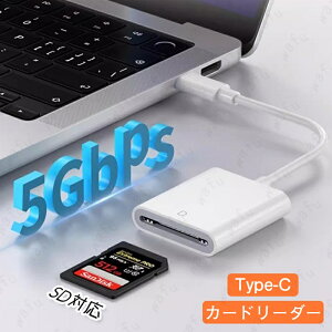 Type-C �J�[�h���[�_�[ (dk57#) �������� SD�J�[�h���[�_�[ iPhone16 iPad �����f�[�^�]�� MicroSD SD�J�[�h �p�\�R�� �^�u���b�g �o���� �o�b�N�A�b�v �ʐ^ ����