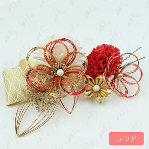 h191# 2_Zbg  3color wAANZT[  R[ Us l U a ܂ݍ׍H ߂  l fB[X  Ǝ 