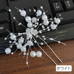 h192#Us   5color wAANZT[ EGfBO  񂴂 wAAW l \ p[eB[ l  wbhhX 