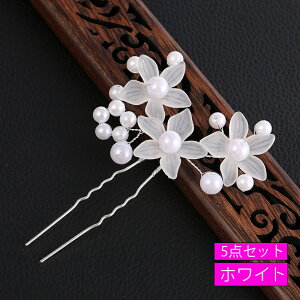 h173#Us p[ 5_Zbg  񂴂  t[ zCg  wAANZT[  wAs a Vo[    l