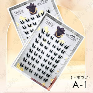 ܂ ̂sv i` (z173#)  3type ܂GNXe ڒܕsv ܂ ܂ i` 킢 ACbV S ACCN